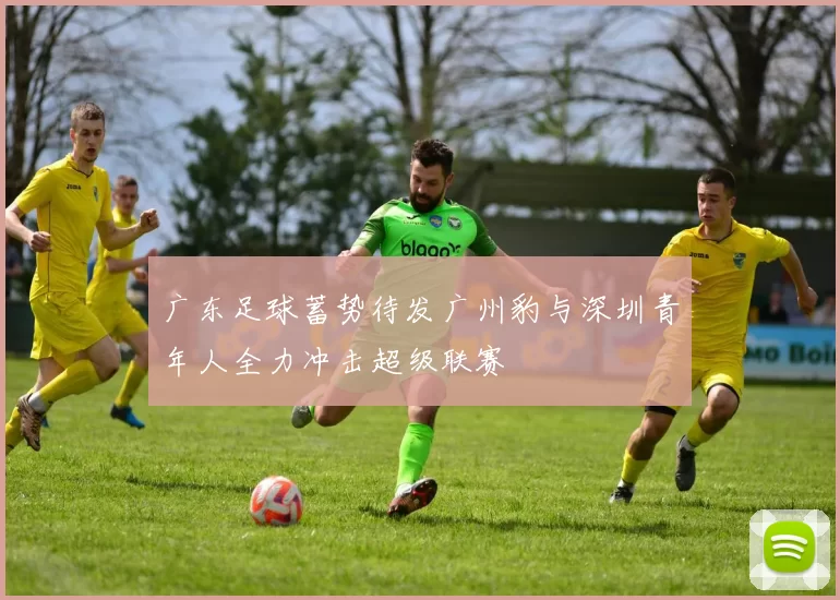 广东足球蓄势待发广州豹与深圳青年人全力冲击超级联赛